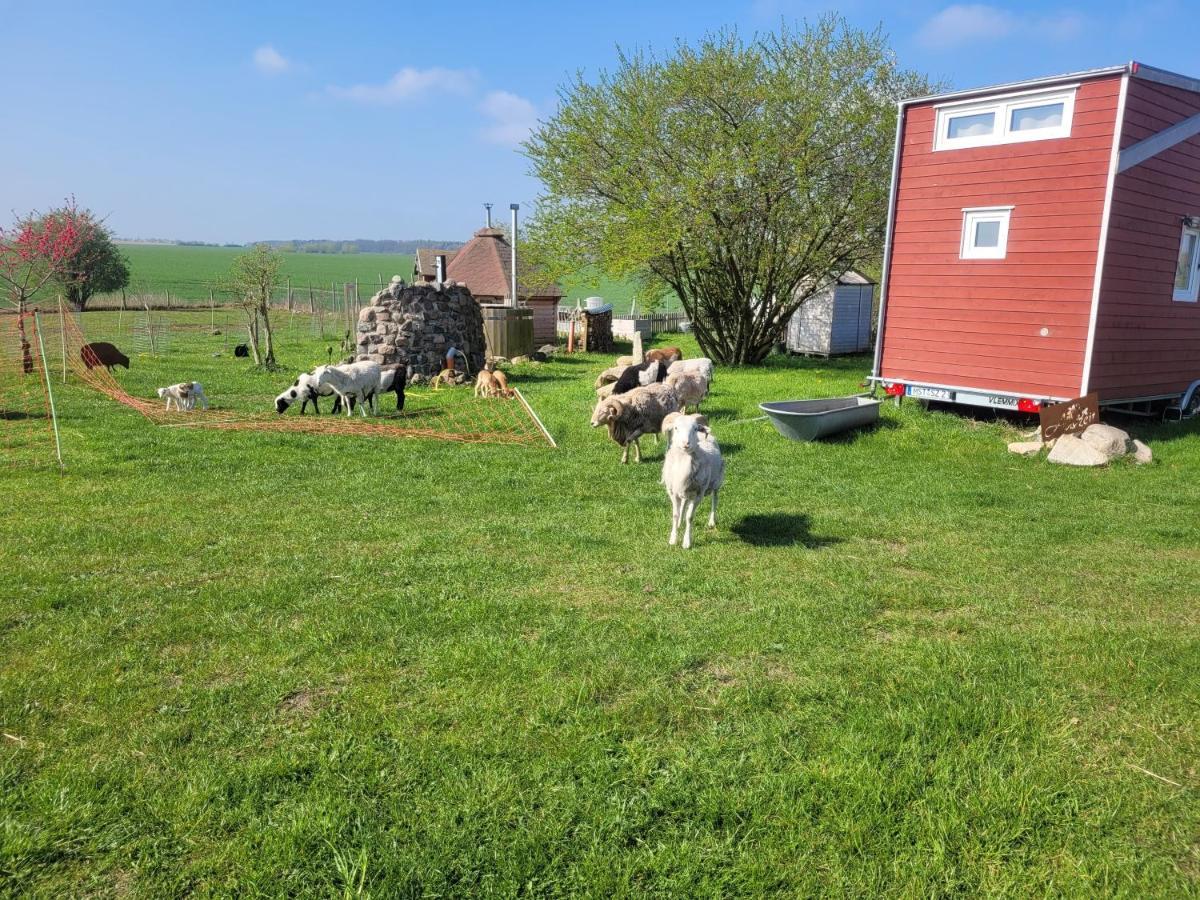 Villa Tiny House à Schonbeck  Extérieur photo