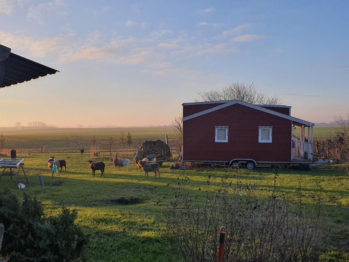 Villa Tiny House à Schonbeck  Extérieur photo